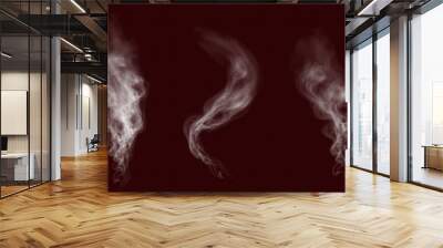 White smoke, vape, fog, smog. Illustration of smoke on a transparent background.
 Wall mural