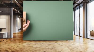 Female hands holding Christmas gift box on pastel green background. Banner in natural colors. Wall mural