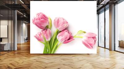 Pink tulips isolated on white background. Top view. Wall mural