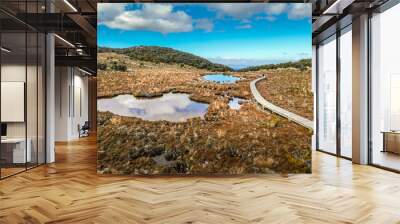 An aerial image of two small lakes on an Alpine tarn on the slopes of an active volcano Mount Ruapehu in the Tongariro National Park in New Zealand Wall mural