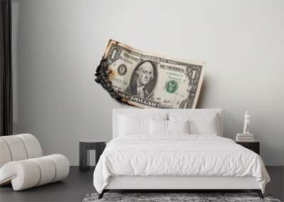 Partially burnt one-dollar bill against a plain background. Representing the fragility of the economy. Wall mural