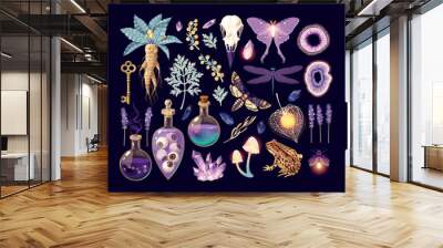 Big vector set of various magic supplies Wall mural