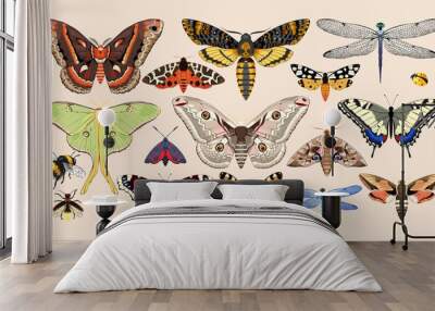 Set of insects Wall mural