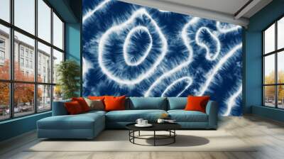 Indigo Blue Shibori Tie dye fabric texture pattern. White and Blue colors. Wall mural