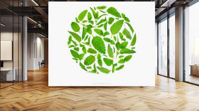 Fresh flying green mint leaves, lemon balm, melissa, peppermint form of circle on light background flat lay. Mint leaf texture, pattern. Spearmint herbs. Tea ingredient. Ecology organic natural layout Wall mural