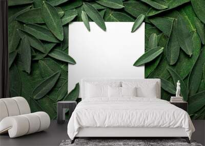 Fresh green sage leaves and white square blank sheet of paper top view. Sage velvet leaf texture, mock-up. Salvia officinalis, garden sage. Concept of organic food kitchen herbs medicinal plant Wall mural