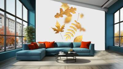 Golden flying autumn leaves of different shapes on light gray background. Autumn concept, fall background. Minimal floral design, autumn leaf frame. Golden twig. Autumn creative composition Wall mural