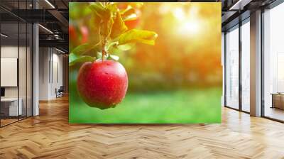 Ripe red apple close-up with sun rays and apple orchard in the background. Wall mural