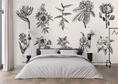 exotic flowers set. botanical vector vintage illustration. design elements. black and white Wall mural