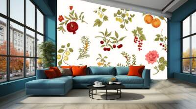 Fruit, berry and flowers. Set. Vector vintage illustration. Wall mural