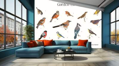 garden birds. set. vector vintage illustrations. Wall mural