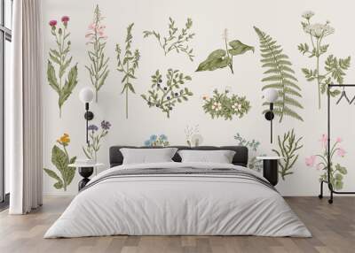 herbs and wild flowers. botany. set. vintage flowers. colorful illustration in the style of engravin Wall mural