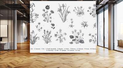 Millefleurs. Second set. Vintage vector botanical illustration. Black and white Wall mural