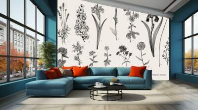 Summertime. Garden flowers. Vector vintage botanical illustration. Black and white Wall mural