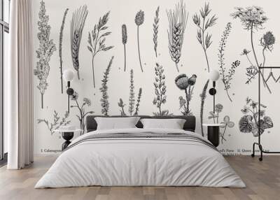 Summertime. Plants of fields and forests. Flowers, cereals. Vector vintage botanical illustration. Black and white Wall mural