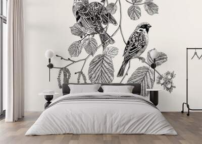 There are two Sparrows bird in hazelnut branches. Vector vintage classic composition. Black and white Wall mural