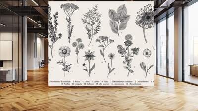 Vintage vector botanical illustration. Set. Autumn flowers, berry and leaves. Black and white Wall mural