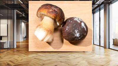 two frozen wild white mushrooms lie on a wooden Board Wall mural