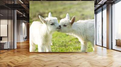 Two cute kid on the green grass Wall mural