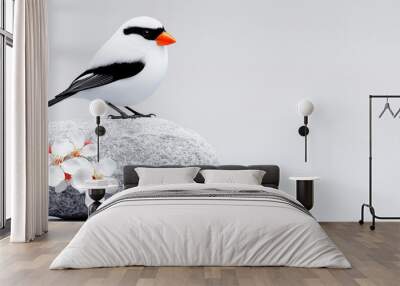 A white bird with orange beak is sitting on a rock. The bird is looking at the camera Wall mural