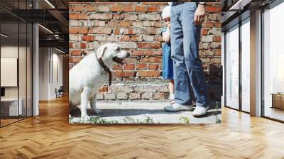 A young girl afraid of the dog and hides behind dad Wall mural