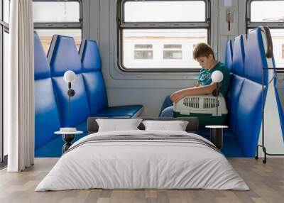 A teenager rides a train with pet carrier Wall mural