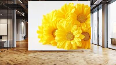 A close up of a bunch of yellow flowers with a white background Wall mural