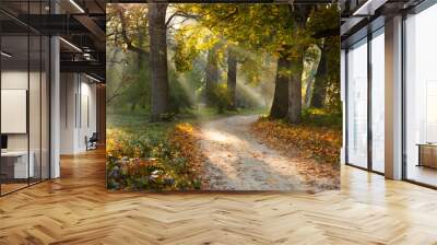 Beautiful oak trees in the sunlight forest Wall mural