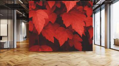 Background of bright red leaves on the wall. Front view Wall mural