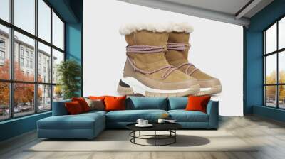 Beige women's fashion suede leather winter boots shoes isolated on white background. Pair of female luxury footwear with fur. Template, mock up Wall mural