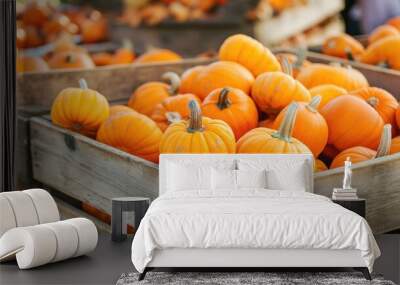 Many bright orange pumpkins in wooden boxes. Autumn harvest. Wall mural