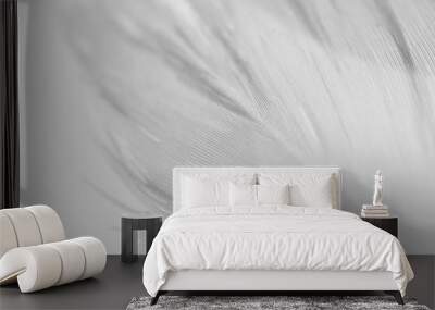 Close-up feather detail on white background. Concept of tenderness, macro Wall mural