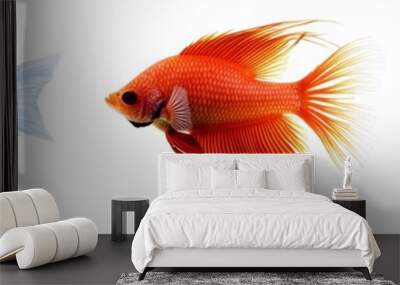 ocean fish isolated on white background Wall mural