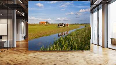 cattle on Dutch farmland Wall mural