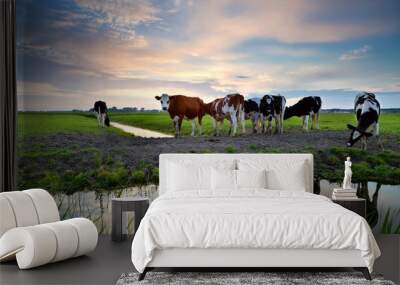 cows by river at sunset Wall mural