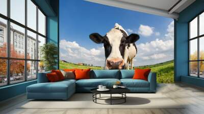 funny close up cow on green grass pasture Wall mural