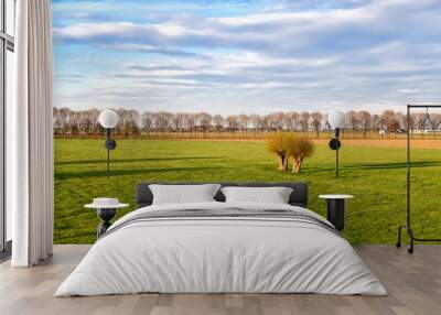 green meadows on Dutch farmland Wall mural