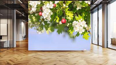 hawthorn tree with berries and flowers Wall mural