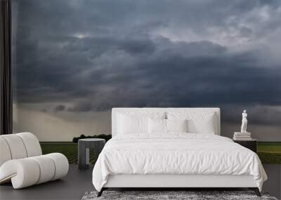 raining cloud over field in farmland Wall mural