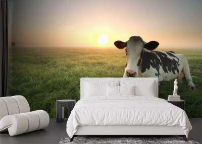 relaxed cow on pasture at sunrise Wall mural