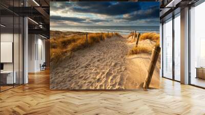 sand path to North sea beach Wall mural