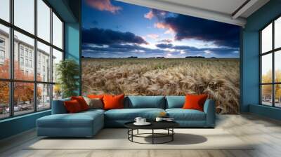 sunset over barley field Wall mural