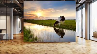 two cows by river at sunset Wall mural