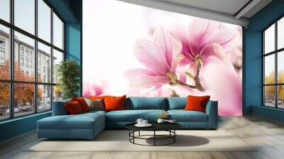 Close up of pastel magnolia flower. Springtime nature background
 Wall mural