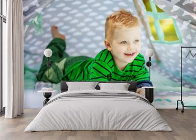 Funny little boy laughing. 2-3 years. Child. The concept of lifestyle picnic and childhood. Wall mural