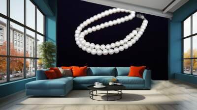 women's decoration necklace is made from freshwater pearls on black background macro photo Wall mural