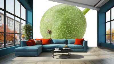 Young green walnut Wall mural