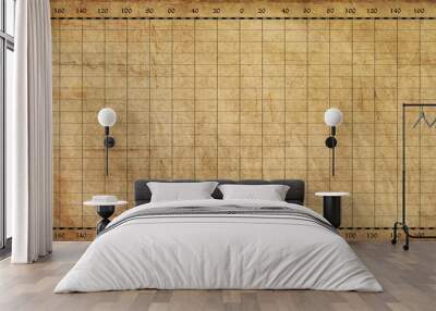  grid of parallels and meridians, old paper background Wall mural