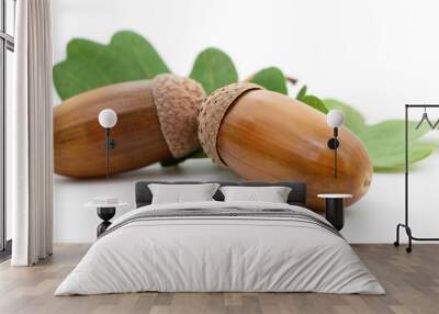 Oak acorns with leaf. Wall mural