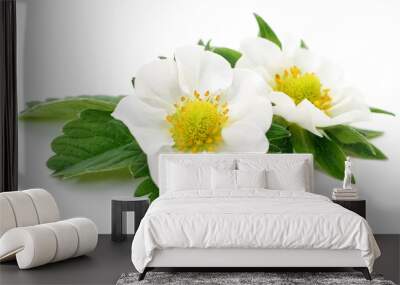 Two white flowers. Wall mural